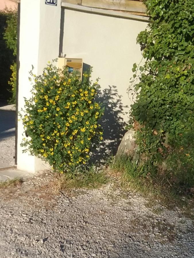 LʼIsle-sur-la-Sorgue Une Chambre En Ville المظهر الخارجي الصورة