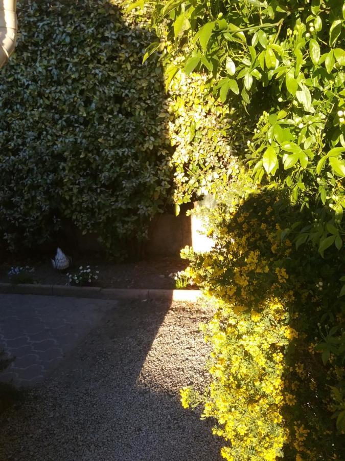 LʼIsle-sur-la-Sorgue Une Chambre En Ville المظهر الخارجي الصورة